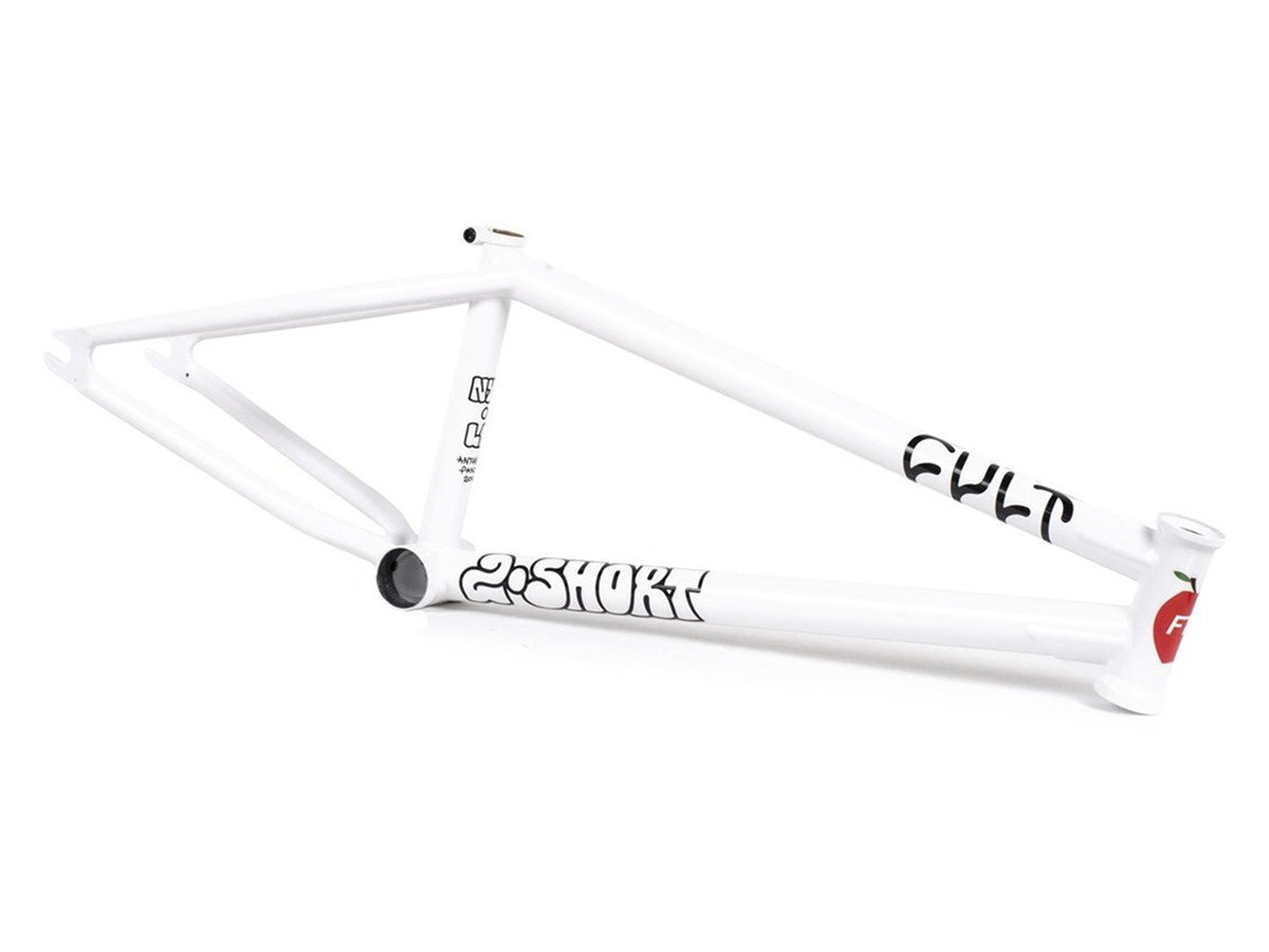 cult devotion anthony panza