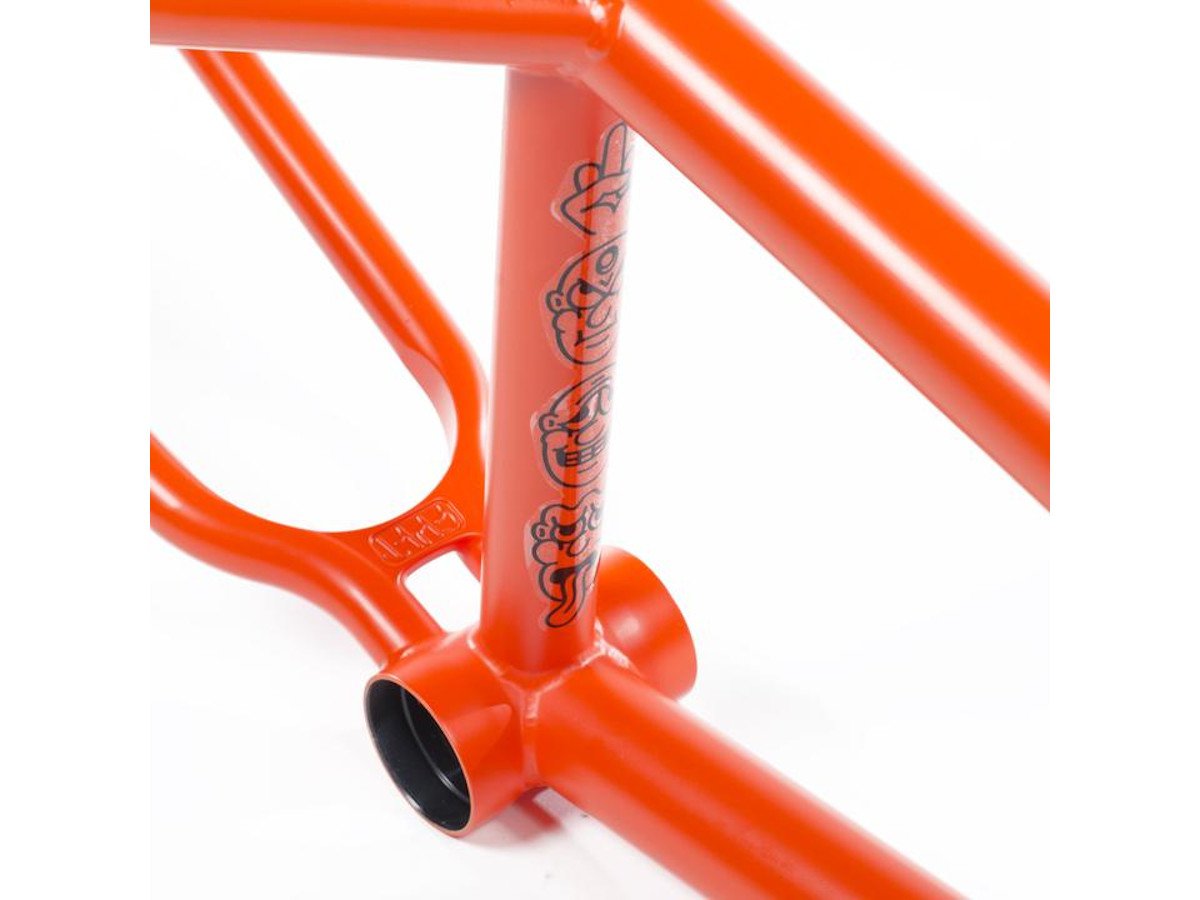 sean ricany frame