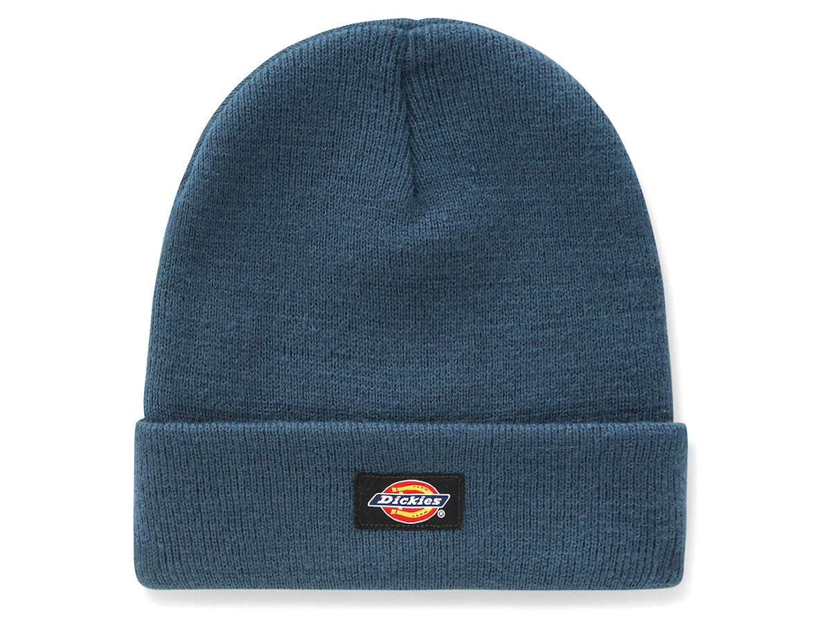 шапка dickies woodworth 2021. шапка dickies gibsland apricot. Independent dickies шапка. шапка бини dickies. шапка dickies woodworth 2021.