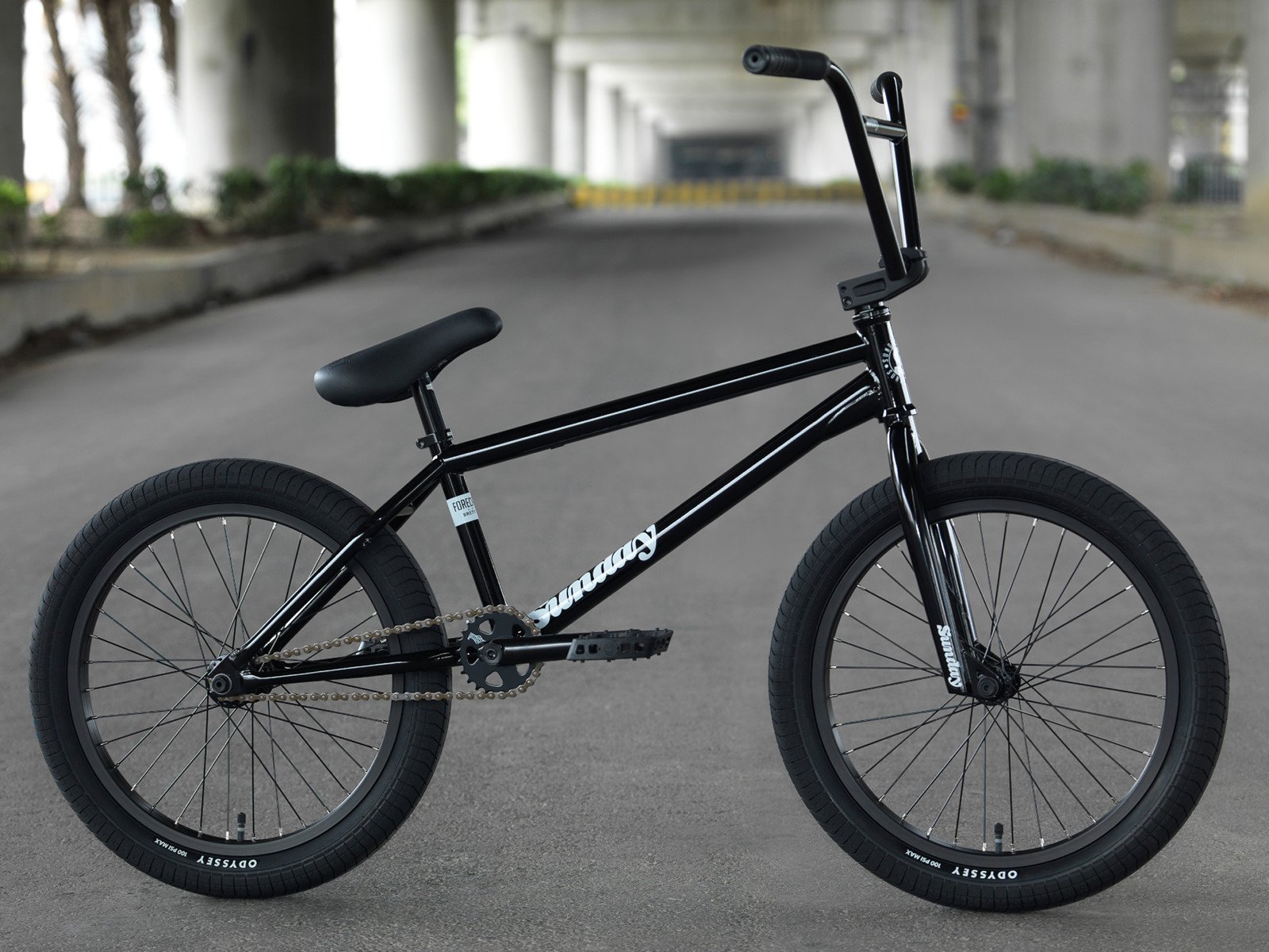 bmx sunday forecaster