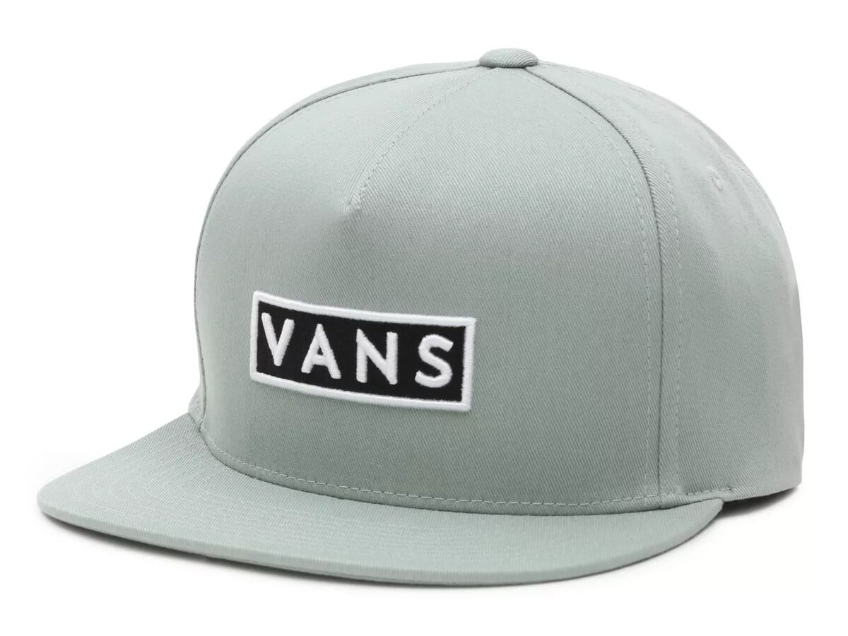 snapbacks vans