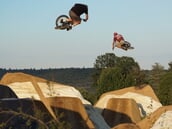 Daniel Schuhbauer