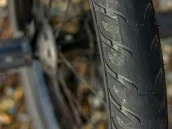 Sven Avemaria - Bike Check 2017