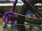 Robin Kachfi - Bike Check 2017