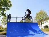 Mika Koehler