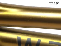 Wethepeople "Utopia" BMX Frame