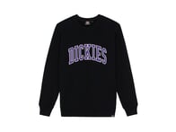 Dickies "Aitkin Sweater" Pullover - Black/Imperial