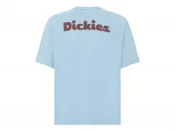Dickies "Slayden Garment Dye" T-Shirt - Glacier Lake