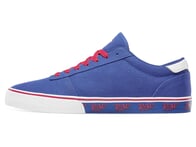 Etnies X RAD "Calli Vulc" Shoes - Blue/Red/White