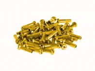 Salt "PRO Alloy" Speichennippel