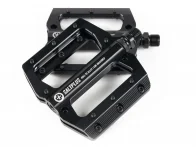 SaltPlus "Echo Alloy" Pedale