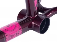 Subrosa Bikes "OM V2" BMX Frame