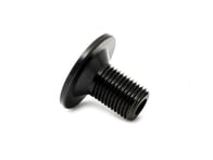 TLC Bikes "Odyssey Titanium" Crank Bolt