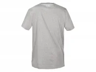 TSG "Roots" T-Shirt - Grey Melange