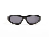 Vans "Felix" Sunglasses - Black