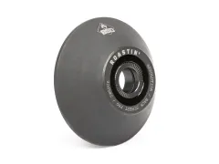 BSD "Roastin Non Drive Side (NDS)" Rear Hubguard