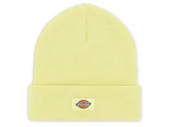 Dickies "Gibsland" Beanie Mütze - Pale Green