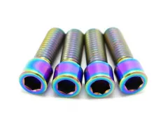 TLC Bikes "Primo Titanium" Crank Arm Pinch Bolts
