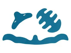 TSG "Youth DC" Helmet Replacement Pads