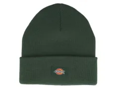 Dickies "Gibsland" Beanie Kids - Pine Needle (Kids)