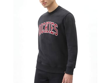 Dickies "Aitkin Sweater" Pullover - Black