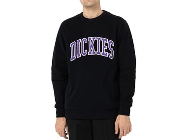 Dickies "Aitkin Sweater" Pullover - Black/Imperial