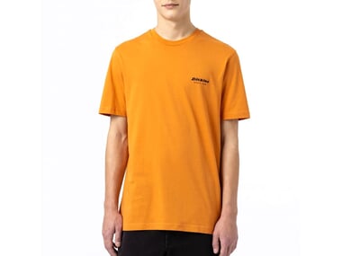 Dickies "Artondale Box" T-Shirt - Golden Ochre
