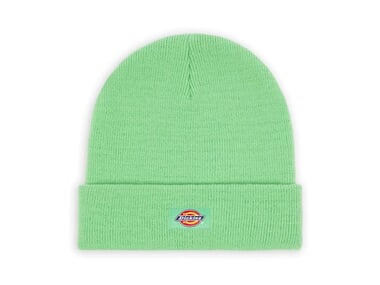 Dickies "Gibsland" Beanie - Apple Mint