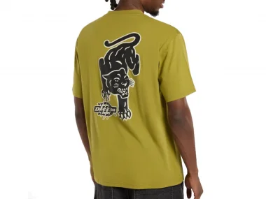 Dickies "Graysville" T-Shirt - Evergreen Spring