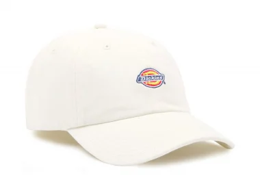 Dickies "Hardwick Snapback" Kappe - Cloud