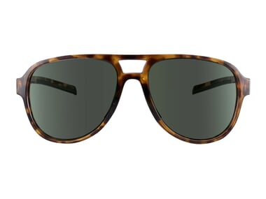 TSG "Cruise" Sunglasses - Brown