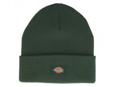 Dickies "Gibsland" Beanie Kids - Pine Needle (Kids)