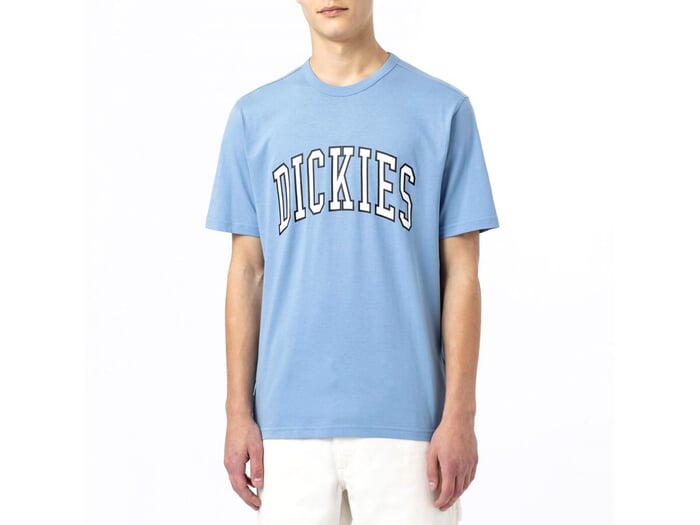 Dickies "Aitkin" T-Shirt - Allure