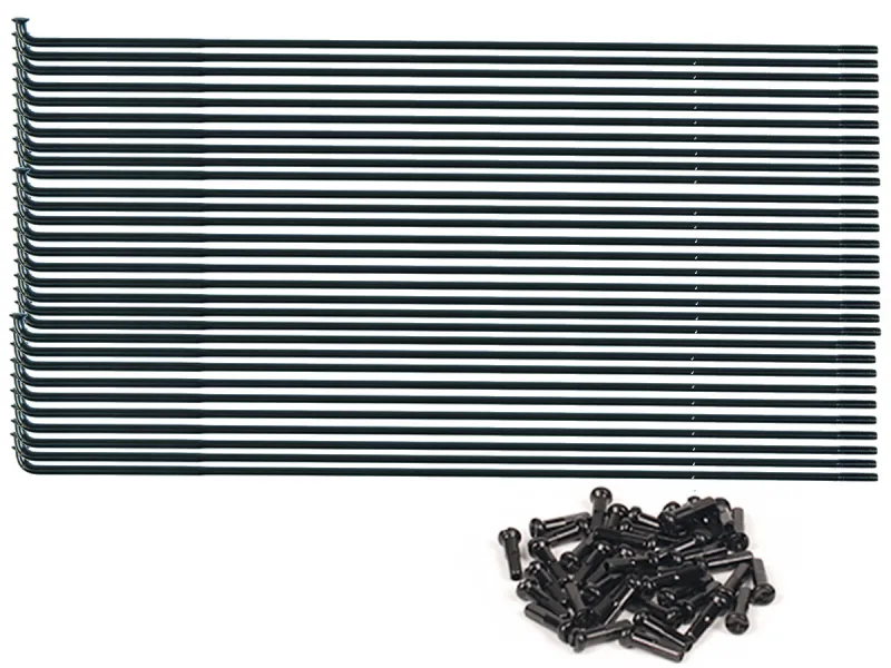 Federal Bikes "Stance Butted" Speichen